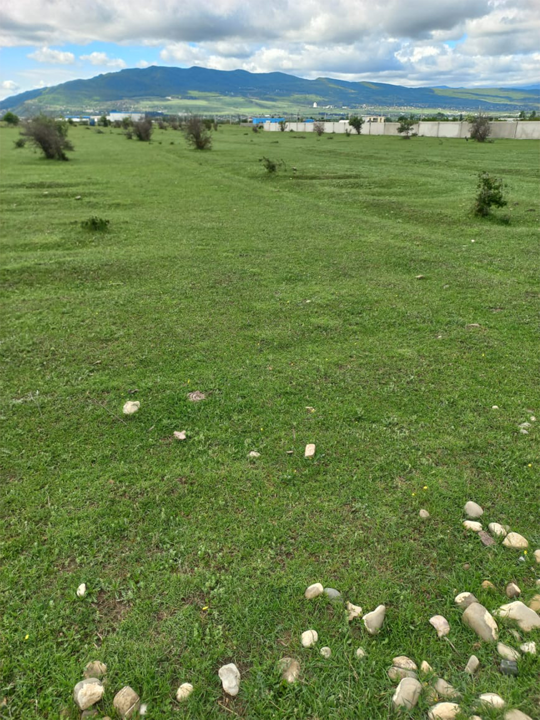 8140 sq.m agricultural land for sale in Misaktsieli