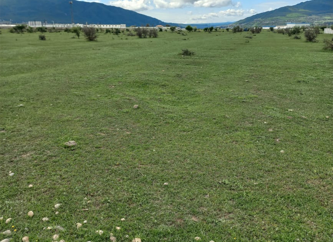 8140 sq.m agricultural land for sale in Misaktsieli