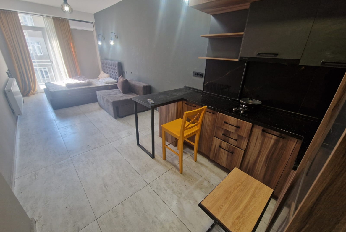 Studio apartment for rent in Vashlijvari