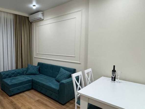 آپارتمان 1 اتاق خواب برای اجاره در دیدی دیگومی 16 1 Bedroom apartment for rent in Didi Dighomi 1 1