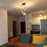 1 Bedroom apartment for rent in Didi Dighomi 6