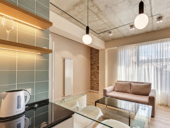 сдается квартира с 1 спальней в аренду в Авлабари 14 1 bedroom apartment for rent in Avlabari 2