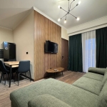 1 bedroom apartment for rent in Avlabari