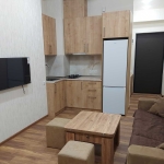 1 bedroom apartment for rent in Didi Digomi