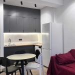 1 bedroom apartment for rent in Didi Digomi