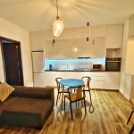 1 bedroom apartment for rent in Didube