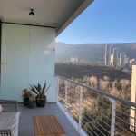 1 bedroom apartment for rent in Domus Tamarashvili