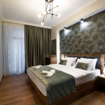 1 bedroom apartment for rent in Isani 10