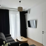 1 bedroom apartment for rent in Krtsanisi