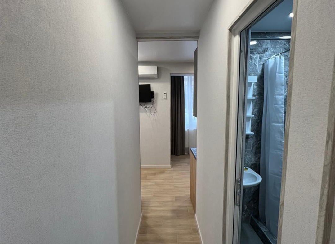 1 bedroom apartment for rent in Nadzaladevi