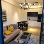 1 bedroom apartment for rent in Vake 1 9