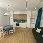 1 bedroom apartment for rent in Vake