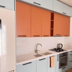 1 bedroom apartment for rent on Lisi 1