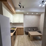 1 bedroom apartment for rent on Nadzaladevi 5