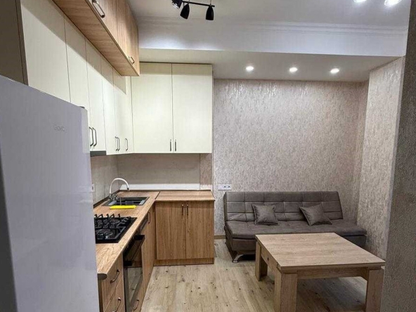 آپارتمان 2 خوابه برای اجاره در Nadzaladevi 20 1 bedroom apartment for rent on Nadzaladevi 5