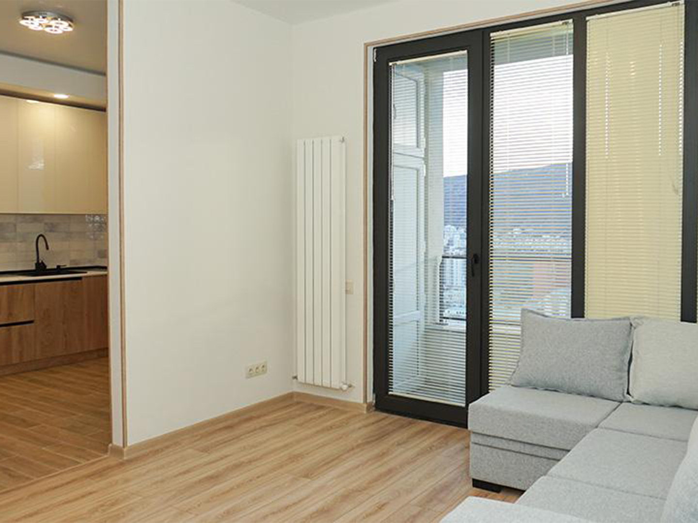 1 bedroom apartment for rent on Saburtalo