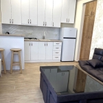 1 bedroom apartment for rent on Saburtalo