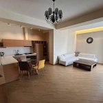 1 bedroom apartment for rent on Saburtalo 2 9