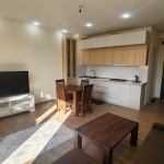1 bedroom apartment for rent on Saburtalo