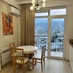 1 bedroom apartment for rent on Saburtalo