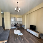 1 bedroom apartment for rent on Saburtalo 4 6