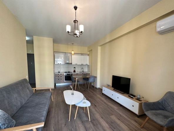 آپارتمان يک اتاق خواب براي اجاره در سابورتالو 10 1 bedroom apartment for rent on Saburtalo 4 6