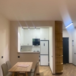 1 bedroom apartment for rent on Saburtalo 9 1