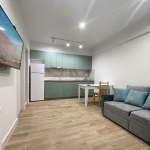 1 bedroom apartment for rent on Saburtalo