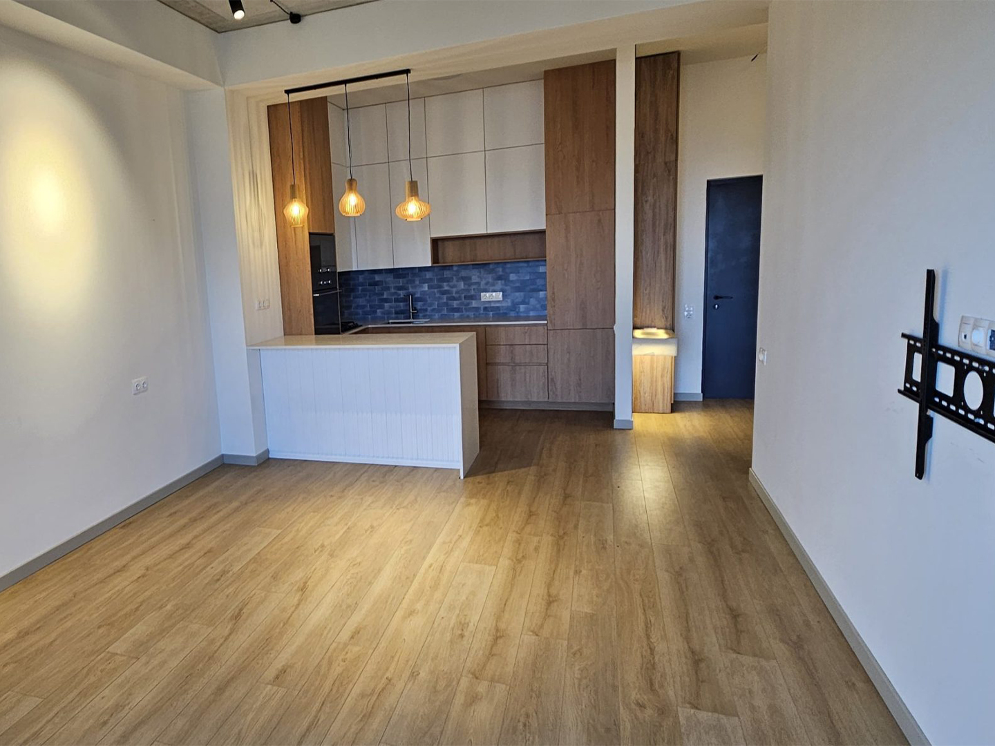 1 bedroom apartment for sale in Krtsanisi