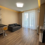1 bedroom apartment for sale in Krtsanisi Twins
