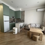 1 bedroom apartment in Digomi for rent