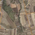 1000 sq.m non-agricultural land for sale in Dusheti