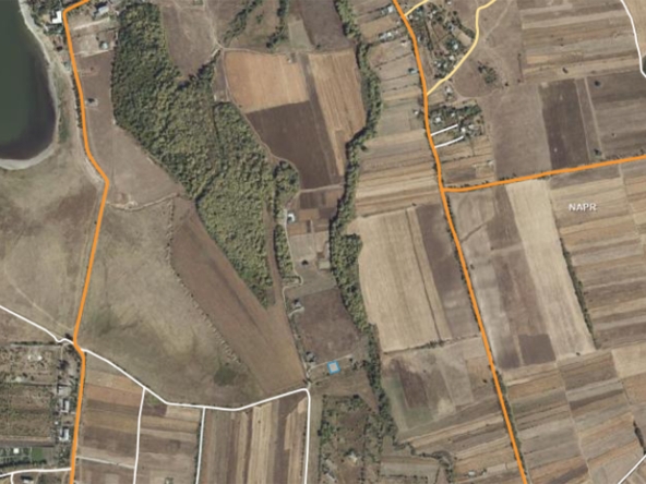 1000 sq.m non-agricultural land for sale in Dusheti