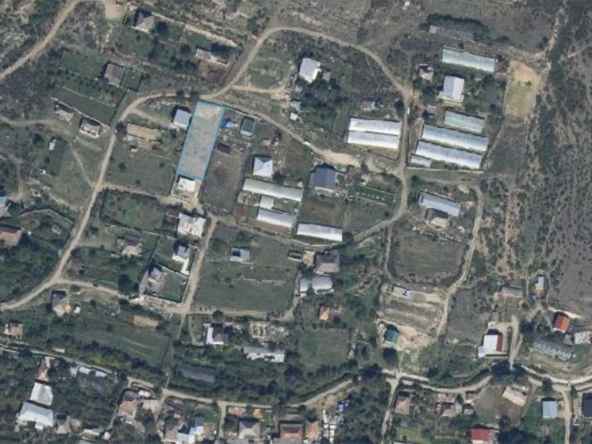1267 sq.m agricultural land in Tsilkani 14 1267 sq.m agricultural land in Tsilkani