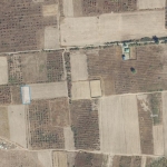 1500 sq.m agriculture land for sale in Tsinamdzgvriantkari