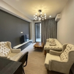 2 bedroom apartment for rent in Archi Tamarashvili