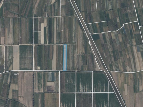 27260 sq.m agricultural land for sale in Shindisi, Gori