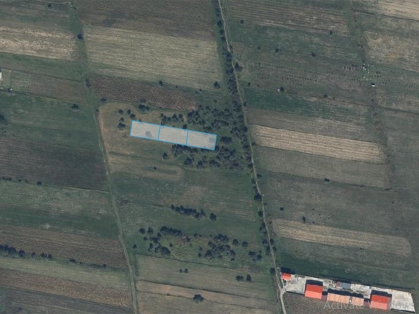 3000 sq.m agricultural land for sale in Tsilkani