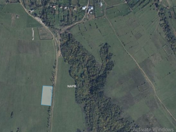 5800 sq.m agricultural land for sale in Toneti