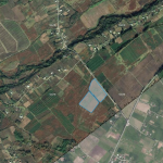Agricultural 50000 m2 land for sale in Zugdidi