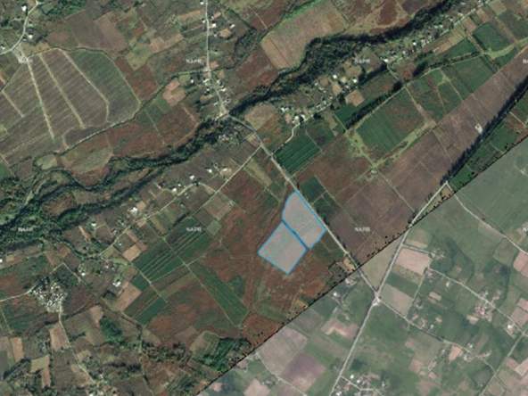 Agricultural 50000 m2 land for sale in Zugdidi