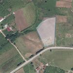 Agricultural 7061 m2 land for sale in Zugdidi