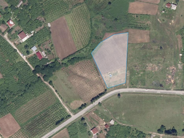 Agricultural 7061 m2 land for sale in Zugdidi 8 Agricultural 7061 m2 land for sale in Zugdidi