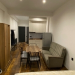 Studio apartment for rent in Didi Digomi