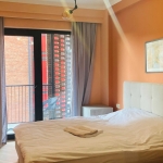 1 bedroom apartment for rent in Avlabari 4