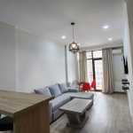 1 bedroom apartment for rent in Didi Dighomi 1