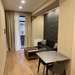 1 bedroom apartment for rent in Didi Digomi 3 5