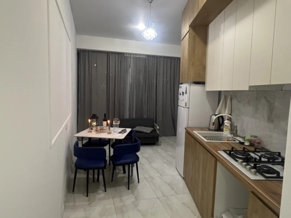 1 bedroom apartment for rent in Gldani 1 1