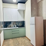 1 bedroom apartment for rent in Gldani 2