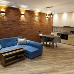 1 bedroom apartment for rent in Krtsanisi 3